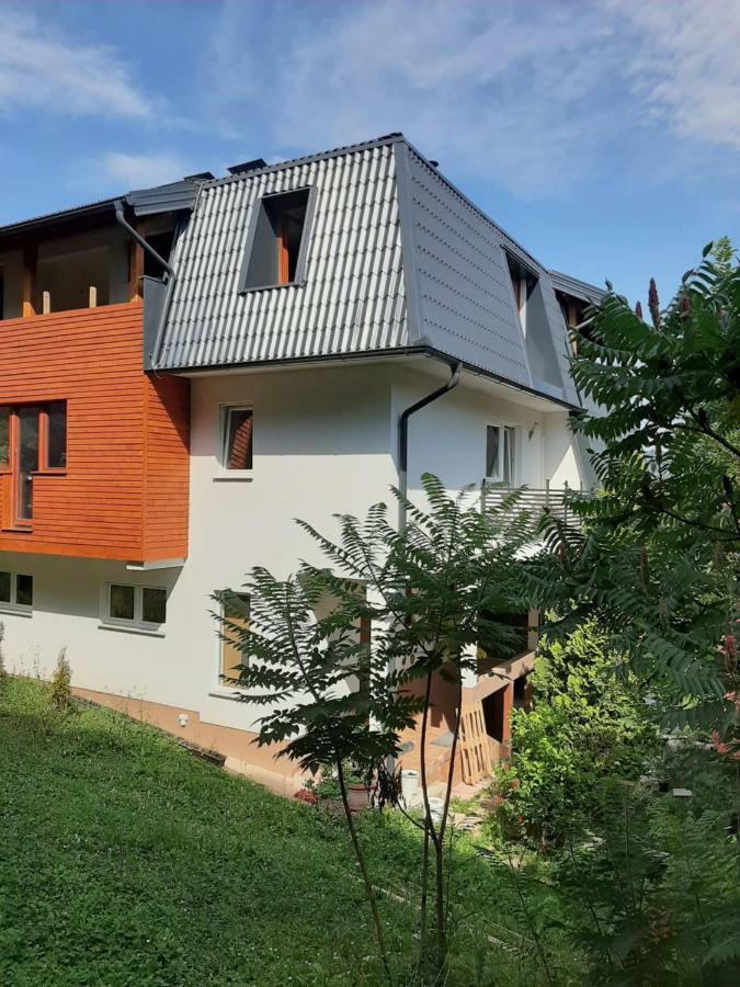 Guesthouse Hill サラエヴォ エクステリア 写真